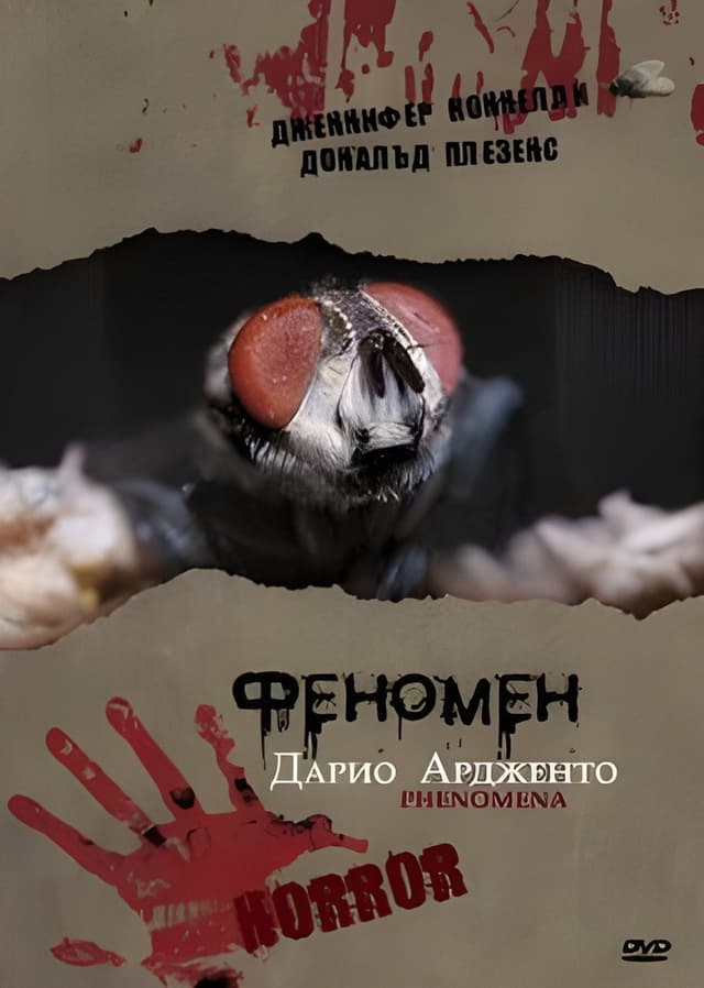 Постер Феномен