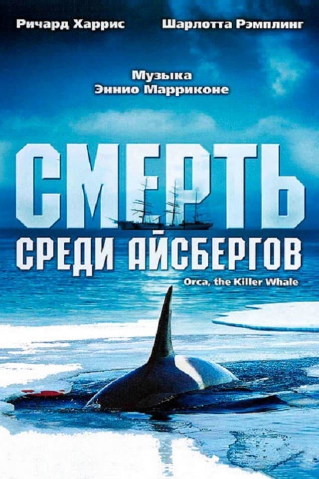 Постер Смерть среди айсбергов
