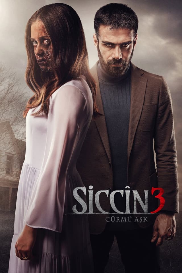 Постер Сиджин 3