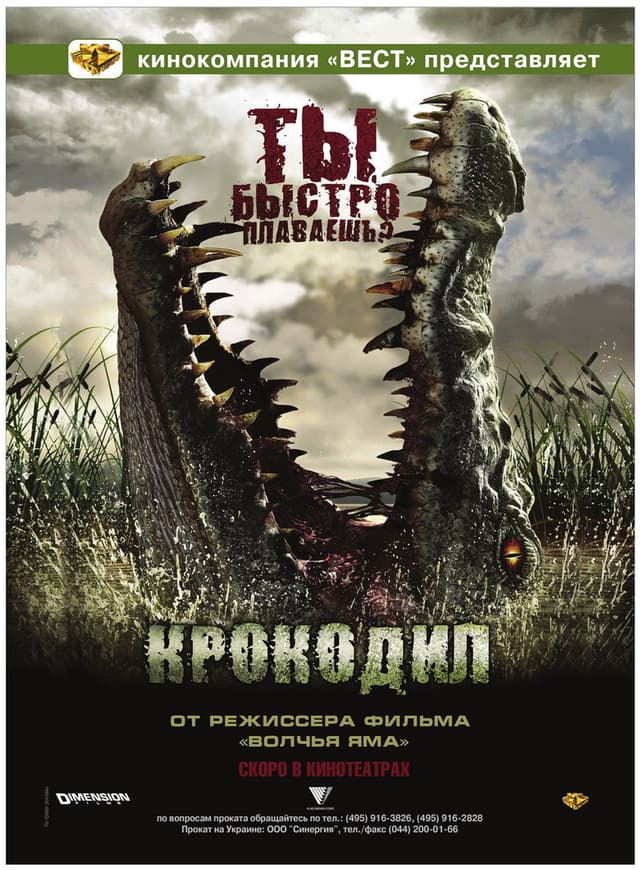 Постер Крокодил