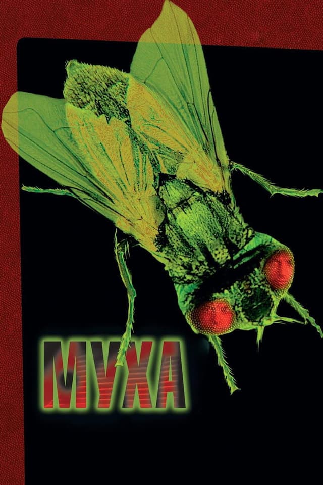 Постер Муха
